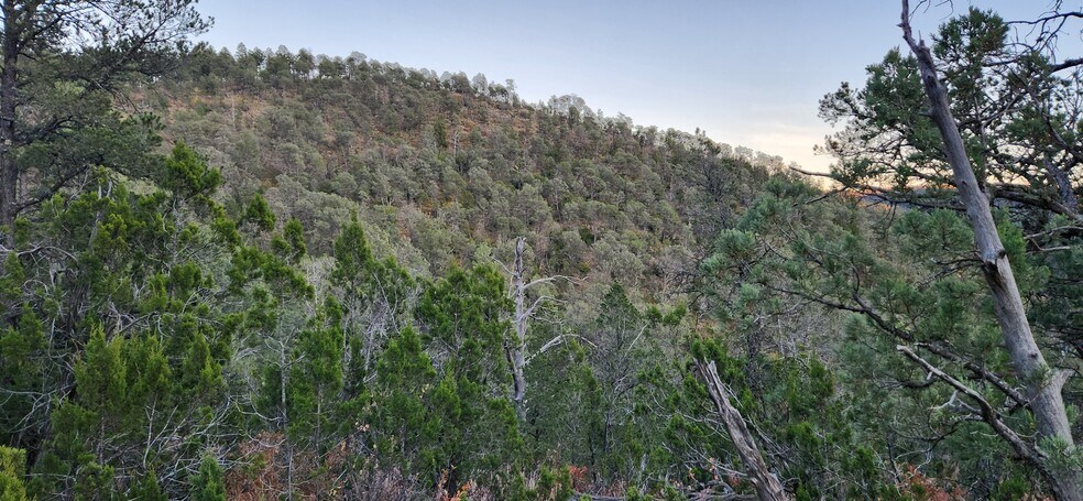 More Photos Of 140 Paradise Canyon Dr, Ruidoso Land For Lease