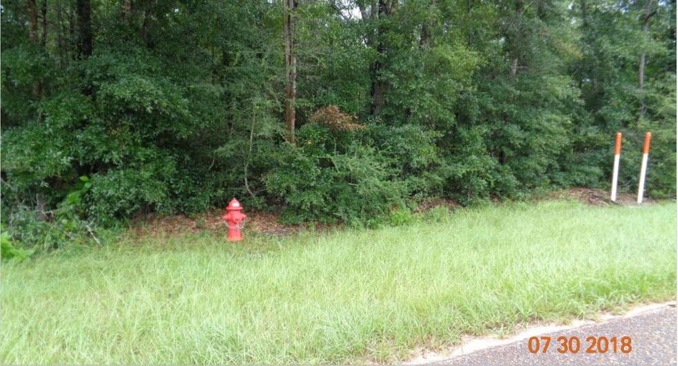 More Photos Of Magnolia Rd, Marianna Land For Sale