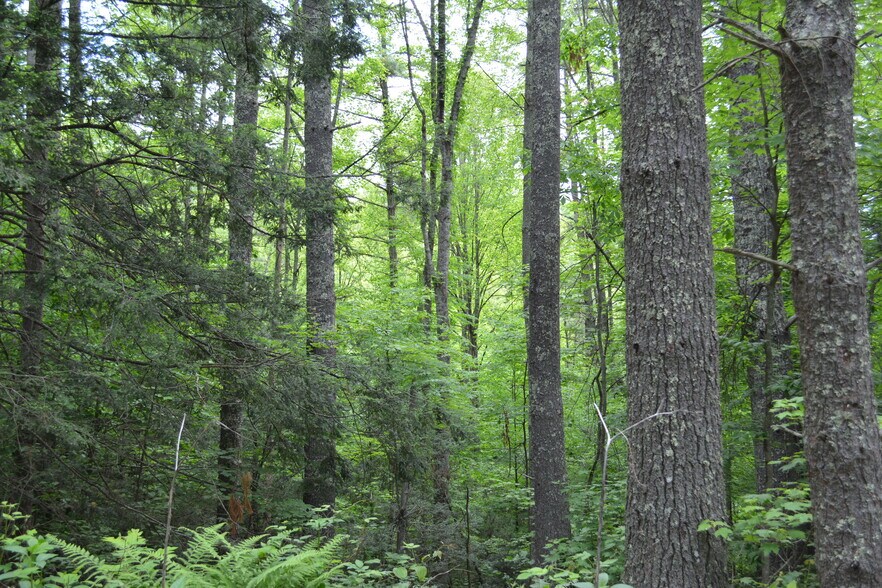 More Photos Of 6421 Highway 91 N, Laurel Bloomery Warehouse For Lease