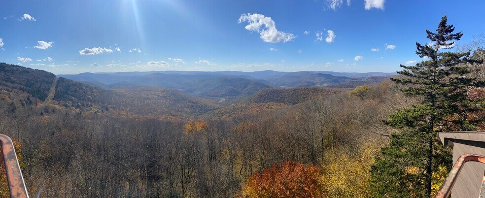 More Photos Of , Snowshoe Specialty For Sale