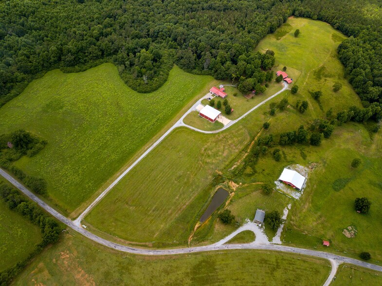 More Photos Of 3262 County Road 6, Hackleburg Land For Sale