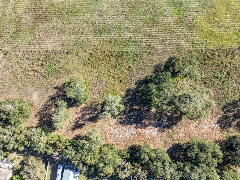 More Photos Of 4558 S Ridgewood Ave, Edgewater Land For Sale