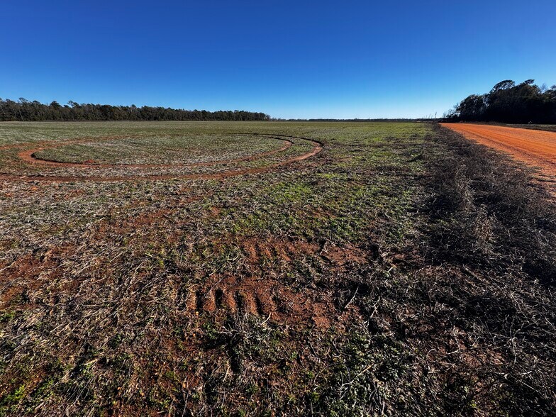 More Photos Of 0 Wiggins Road, Frisco City Land For Sale