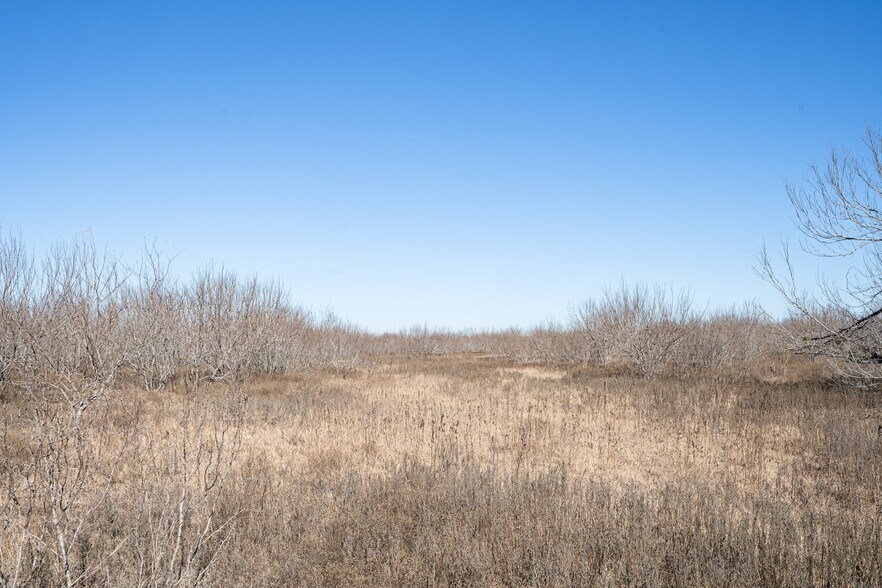 More Photos Of TBD Richards Dr, Del Valle Land For Sale