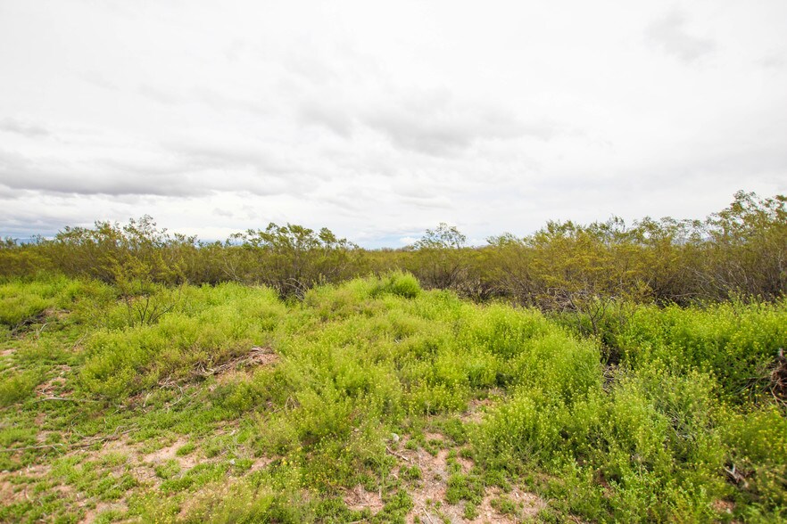 More Photos Of 5860 E Comsoft Pl, Sahuarita Land For Lease