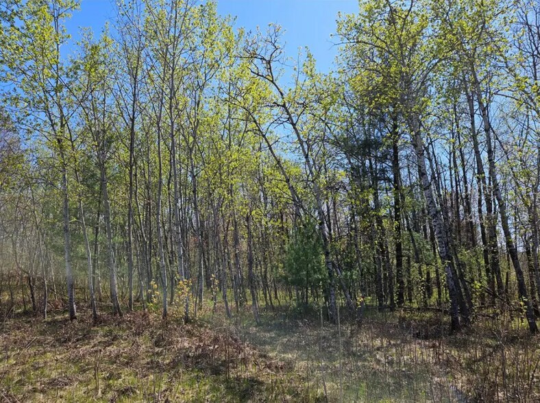 More Photos Of 2935 S Wisconsin Ave, Rice Lake Land For Sale