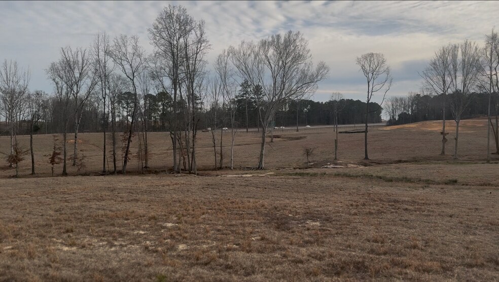 More Photos Of 3583 45th Street, SW, Lanett Land For Sale
