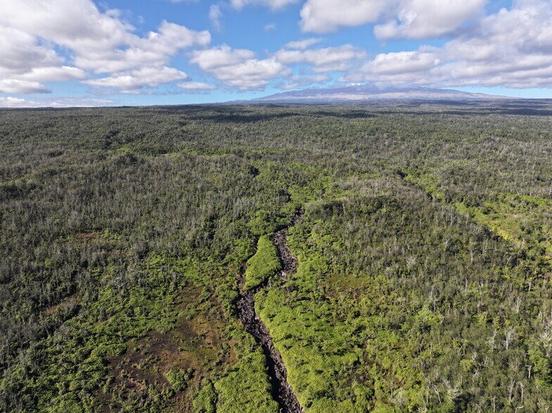 More Photos Of 29-773 Chin Chuck Rd, Hakalau Land For Sale