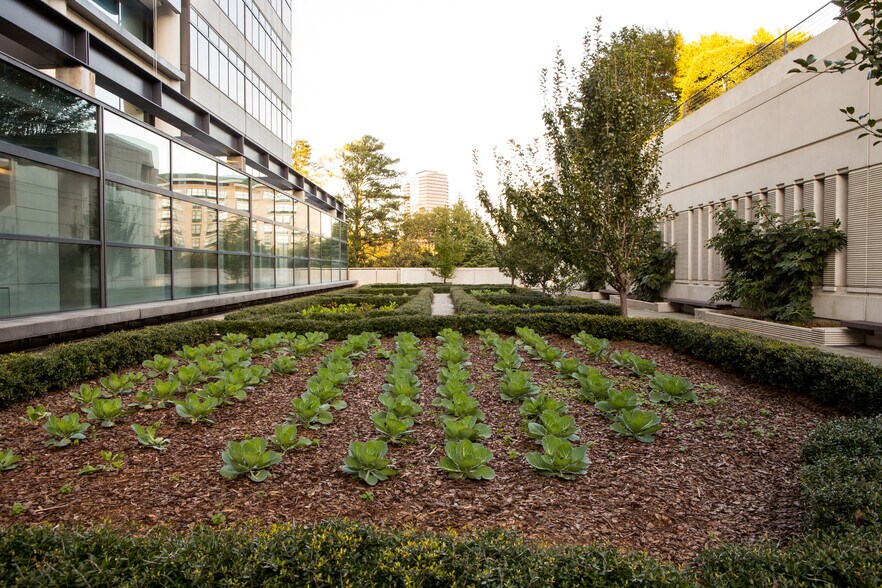 More Photos Of 1001 Summit Blvd, Atlanta Unknown For Lease