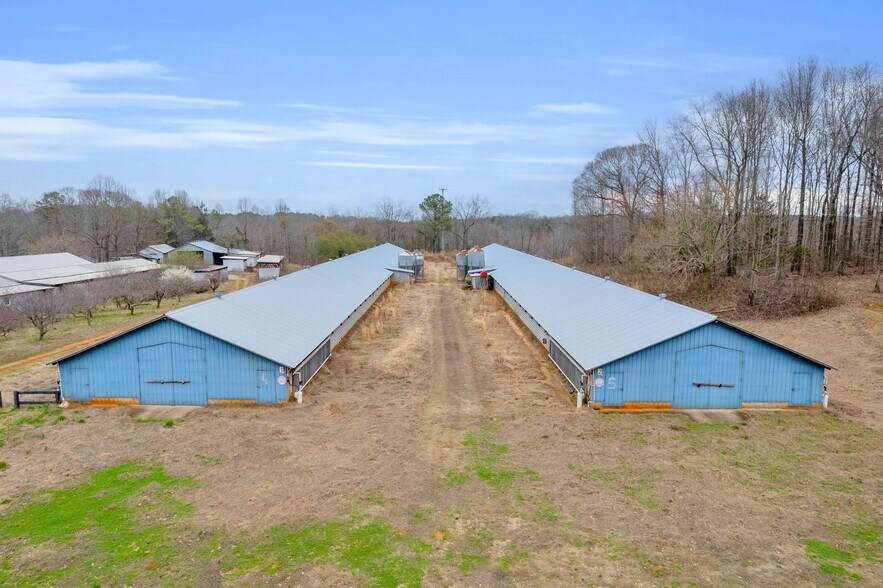 More Photos Of Chatham Rd, Homer Land For Sale