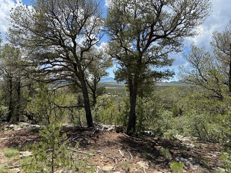 More Photos Of 44 Forest 321 Rd, Estancia Land For Sale