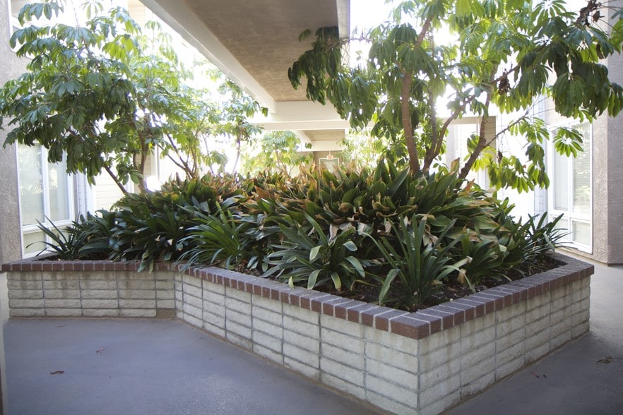 More Photos Of 3950 Long Beach Blvd, Long Beach Medical For Lease