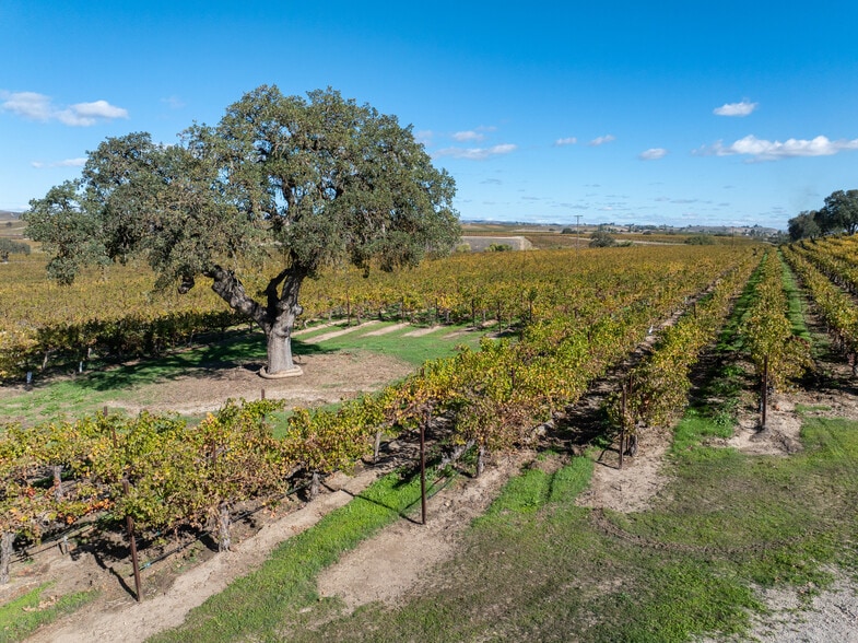 More Photos Of 7790 Airport Rd, Paso Robles Land For Sale