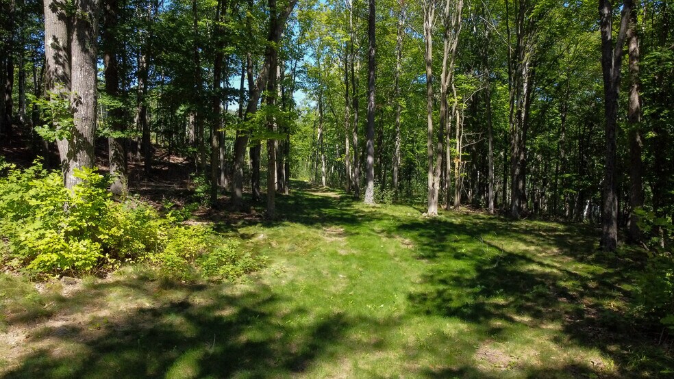 More Photos Of 35480 Whitetail Ave, Bayfield Land For Sale