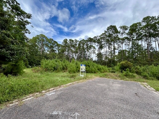 More Photos Of 97124 Elk Creek ct, Fernandina Beach Land For Sale