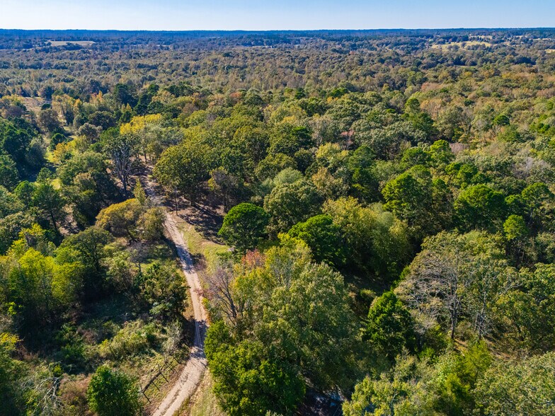 More Photos Of 391 Farm to Market 1519, Scroggins Land For Sale