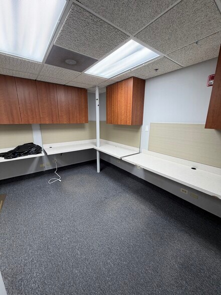 More Photos Of 511-515 Thornhill Dr, Carol Stream Unknown For Lease