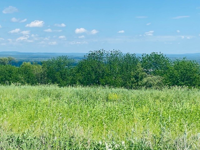 More Photos Of 00 Clarks Lane, Milton Land For Sale