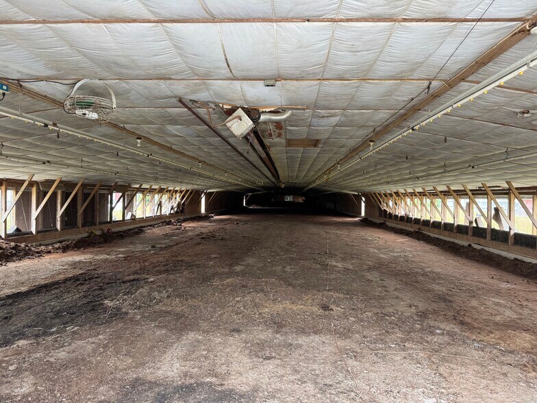 More Photos Of 7193 Bullbegger Rd, Withams Land For Sale