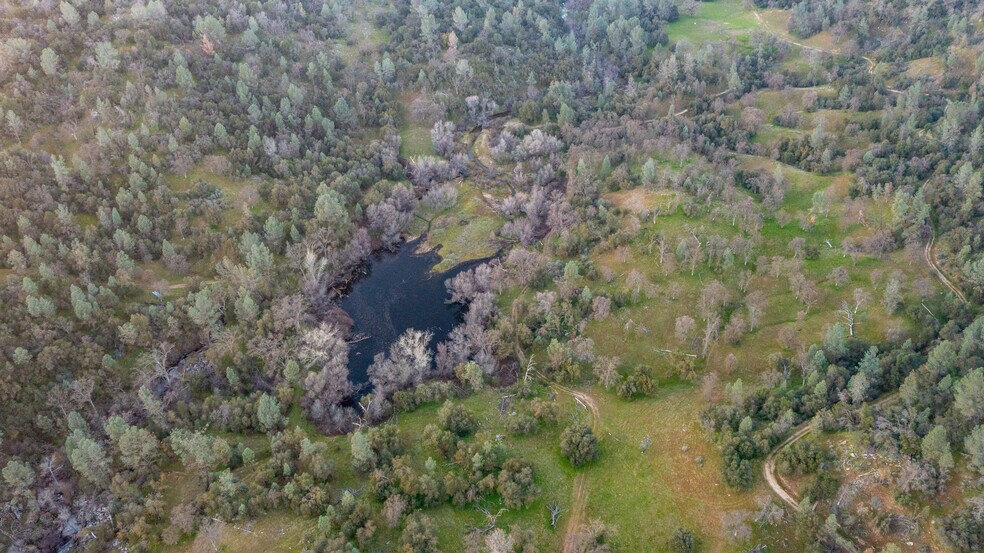 More Photos Of 50871 Road 200, O Neals Land For Sale