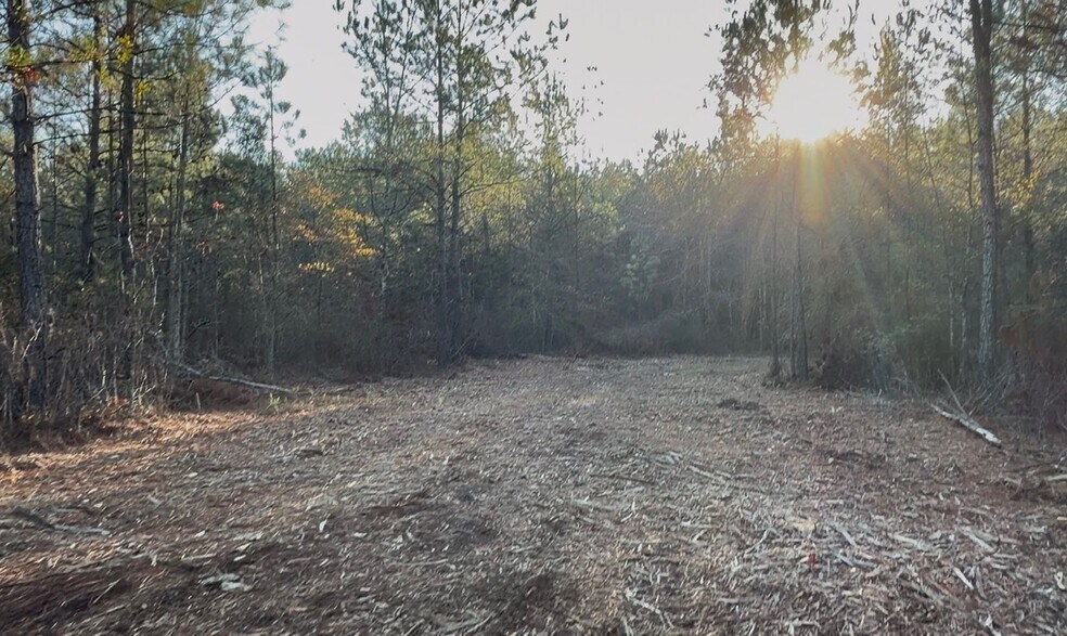 More Photos Of 319 - 547 Sisters Ferry Road, Ridgeland Land For Sale