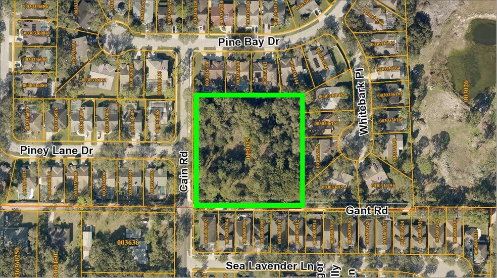 More Photos Of 6501 Gant Rd, Tampa Land For Sale