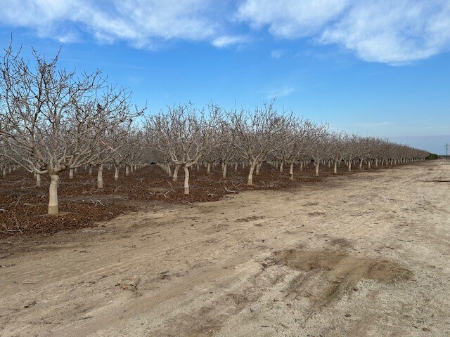 More Photos Of Bassett Ave, Delano Land For Sale