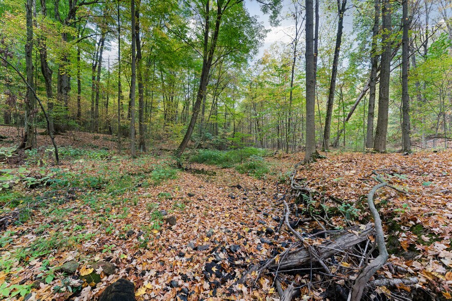 More Photos Of 550 Warner rd, Vienna Specialty For Sale