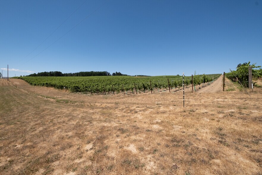 More Photos Of 10845 Brateng Rd, Monmouth Winery Vineyard For Sale