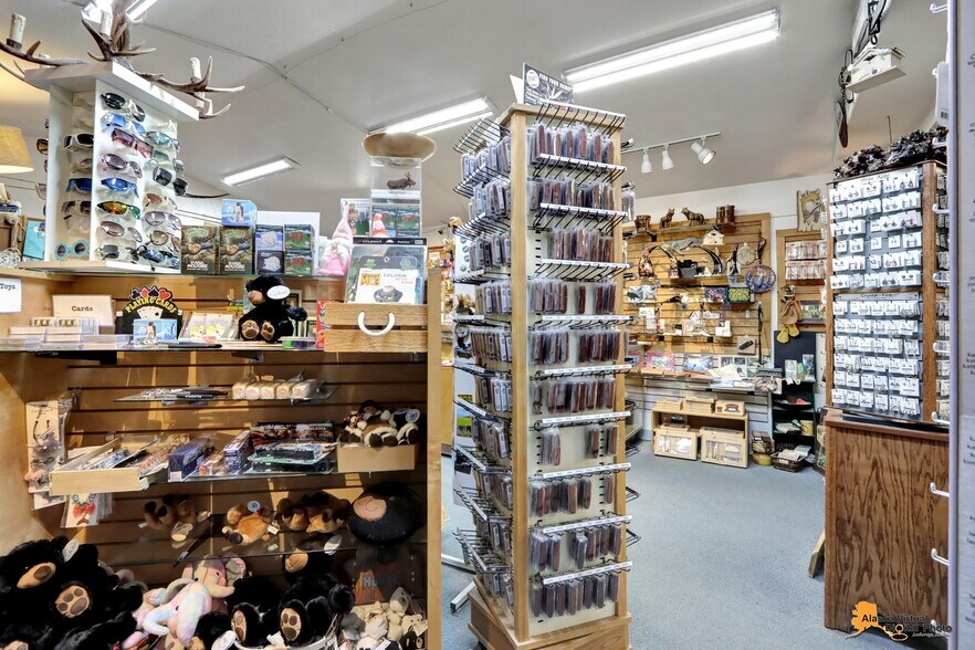 More Photos Of 22336 Talkeetna Spur Rd, Talkeetna Storefront Retail Office For Sale