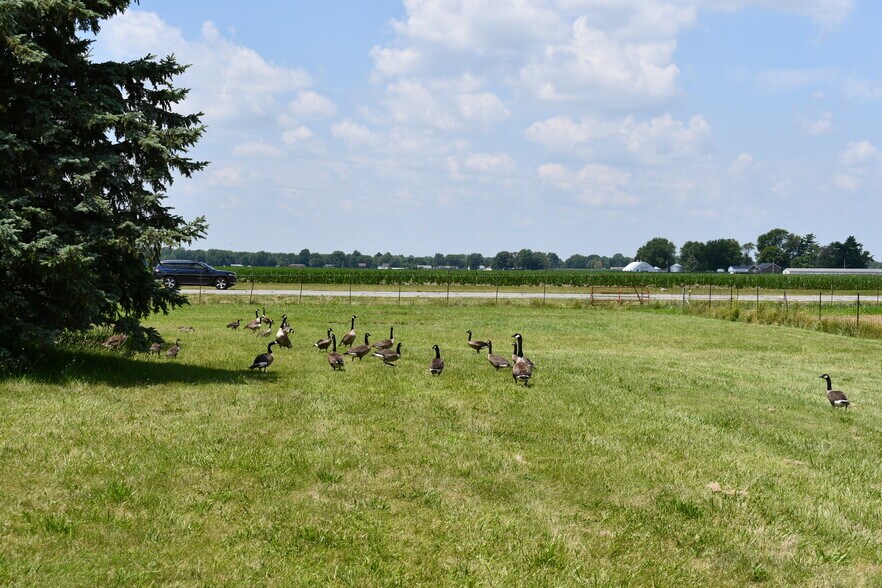 More Photos Of 6769 N State Road 931, Sharpsville Land For Sale