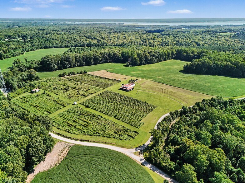 More Photos Of 495 Meadow Landing Ln, Caret Winery Vineyard For Sale