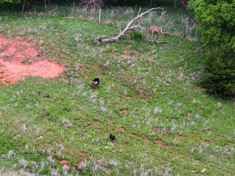More Photos Of 1002 Old 66 Rd, Hydro Land For Sale