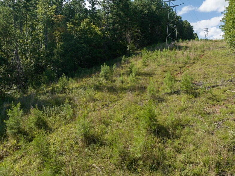 More Photos Of 823 Silver Creek Rd, Mill Spring Land For Sale