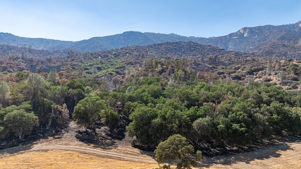 More Photos Of 40000 Caliente Bodfish Rd rd, Caliente Land For Sale