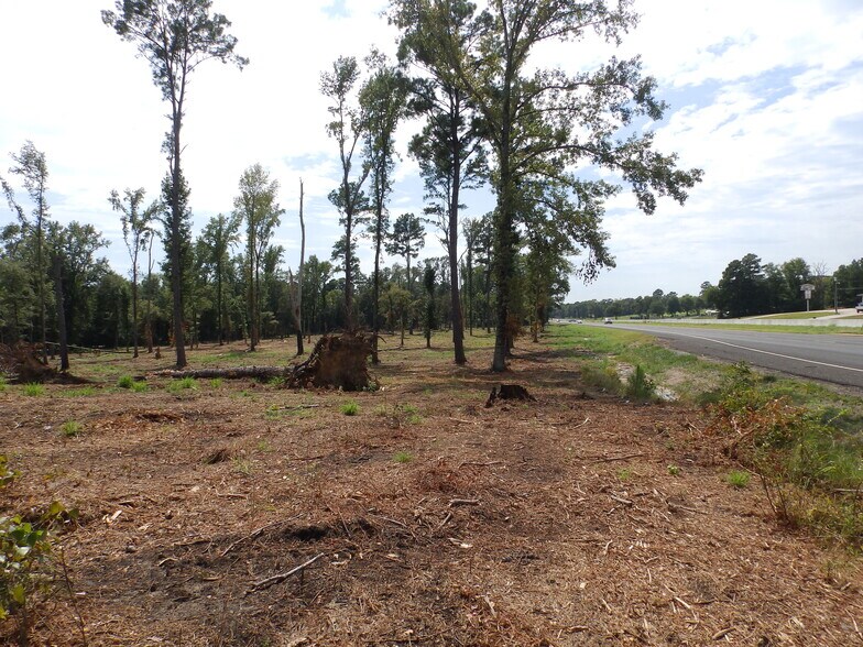 More Photos Of 16393 Highway 31, Tyler Land For Sale