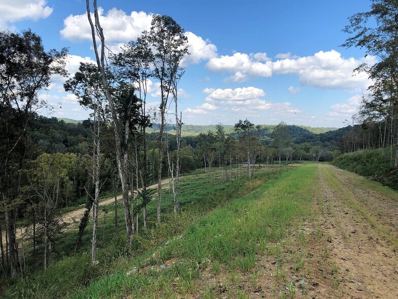 More Photos Of 1037 Fairview Blvd, Fairview Land For Sale