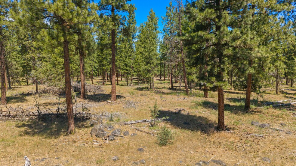 More Photos Of 0 Blue Wing Street, Keno Land For Sale