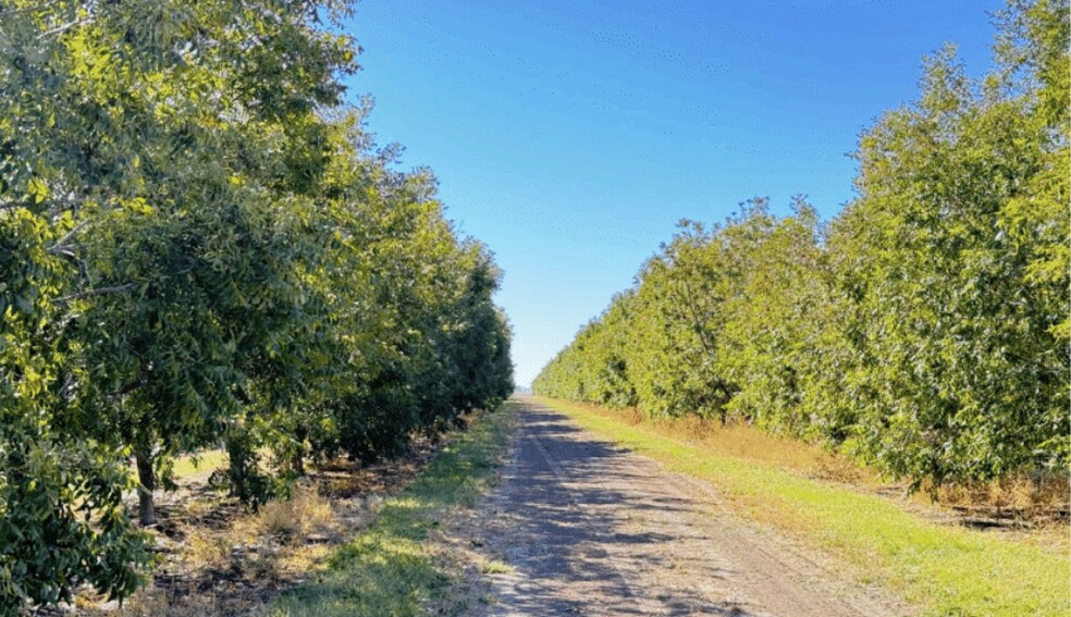 Primary Photo Of Mimbres Valley Development, Deming Land For Sale
