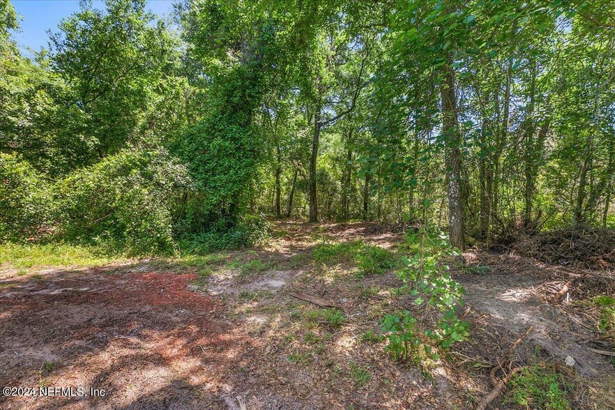 Primary Photo Of Fireside Dr, Middleburg Land For Sale