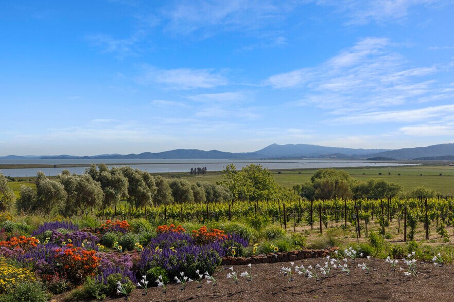 More Photos Of 3001 Sears Point Rd, Sonoma Winery Vineyard For Sale