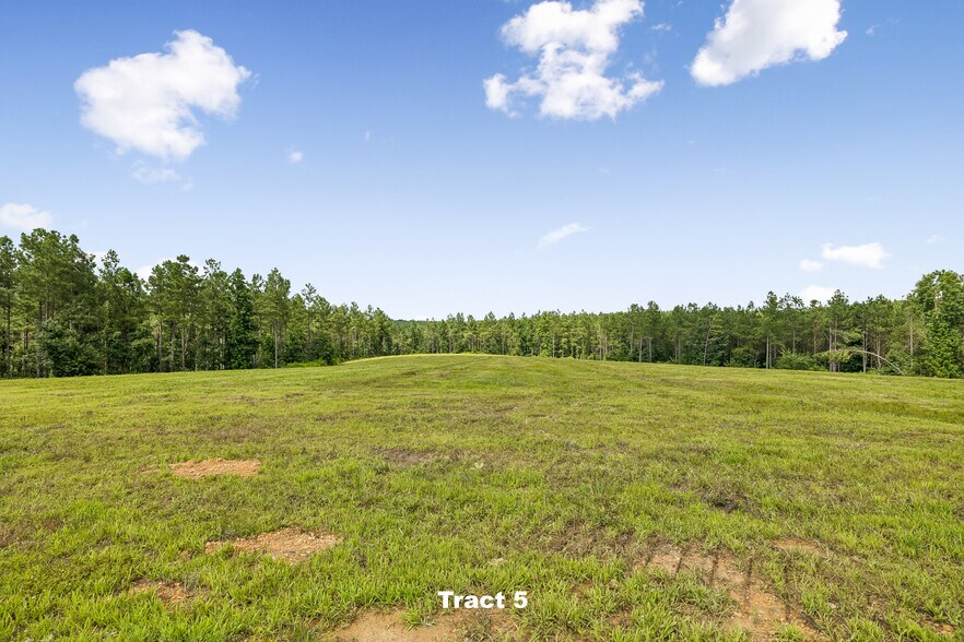 More Photos Of 1420 Big Swan Creek Rd, Summertown Land For Sale