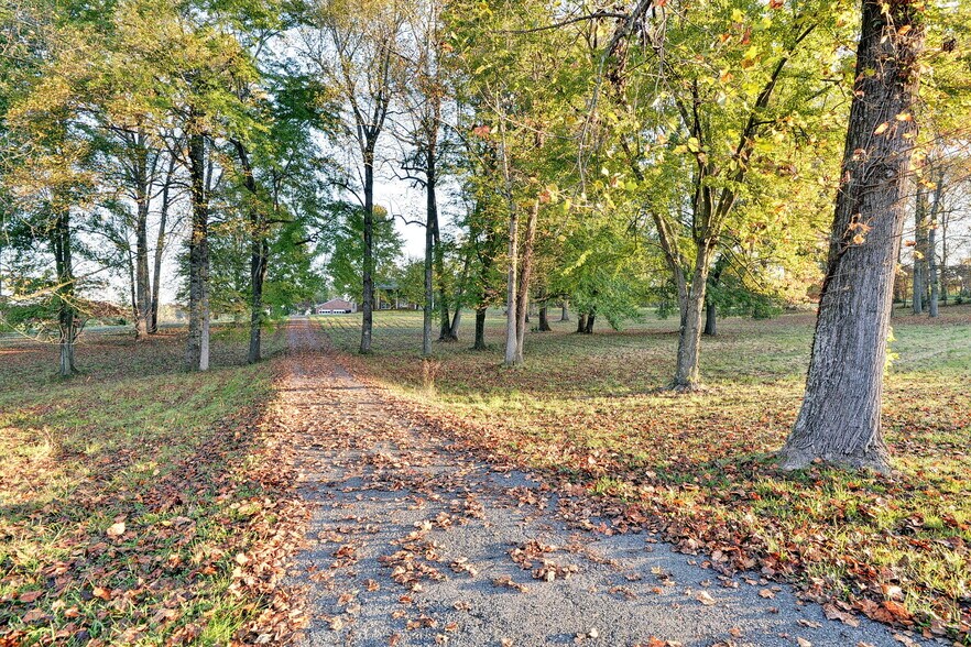 More Photos Of 16380 Forest Rd, Forest Land For Sale