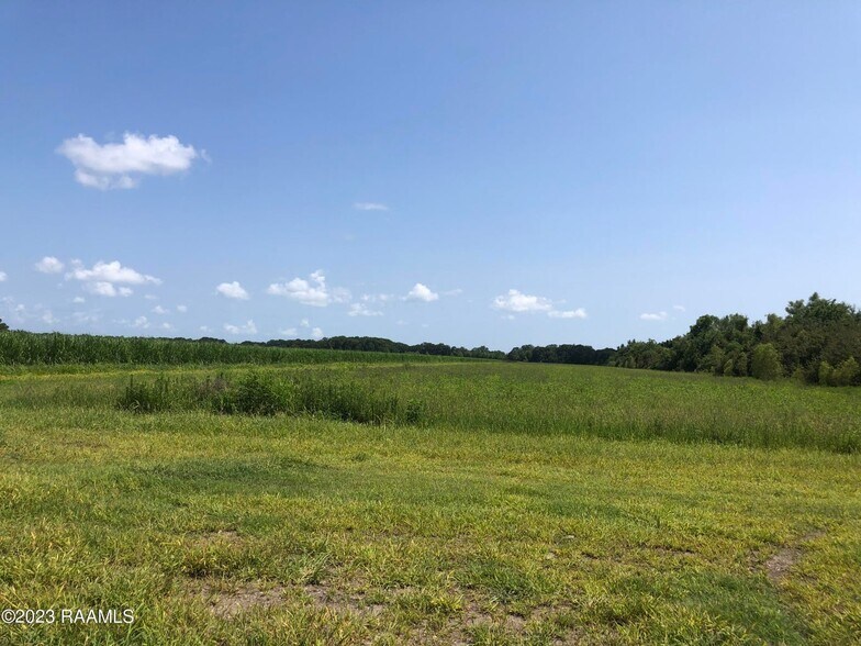 Primary Photo Of TBD Trahan Rd., New Iberia Land For Sale