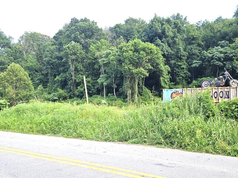 More Photos Of 0 Swannanoa River Rd, Asheville Land For Sale