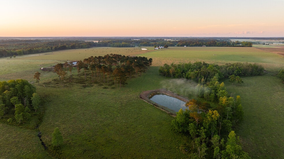 More Photos Of 24795 County Road 32, Elberta Land For Sale