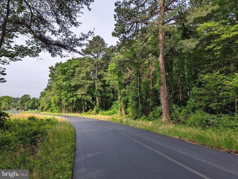 More Photos Of N. Ocean Hwy., Delmar Land For Sale