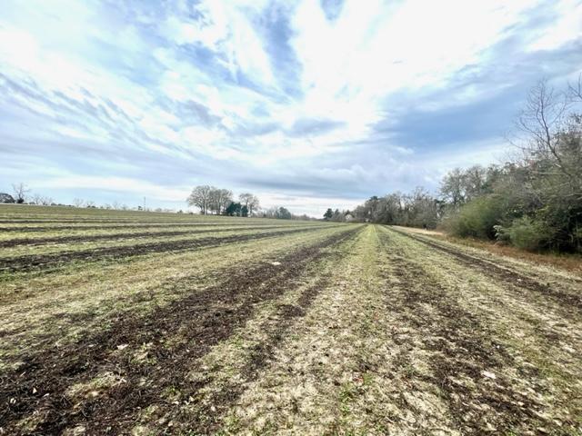 More Photos Of 8291 GA Highway 67, Brooklet Land For Sale