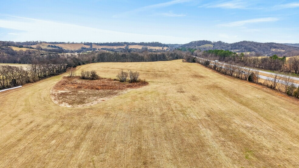 More Photos Of 9438 Lewisburg Hwy, Cornersville Land For Sale