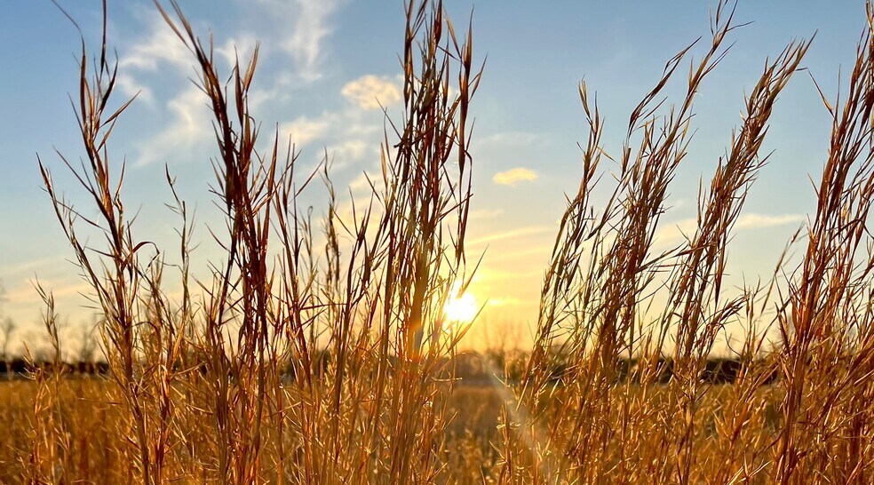 More Photos Of 149 Brindletown Rd, New Egypt Land For Lease